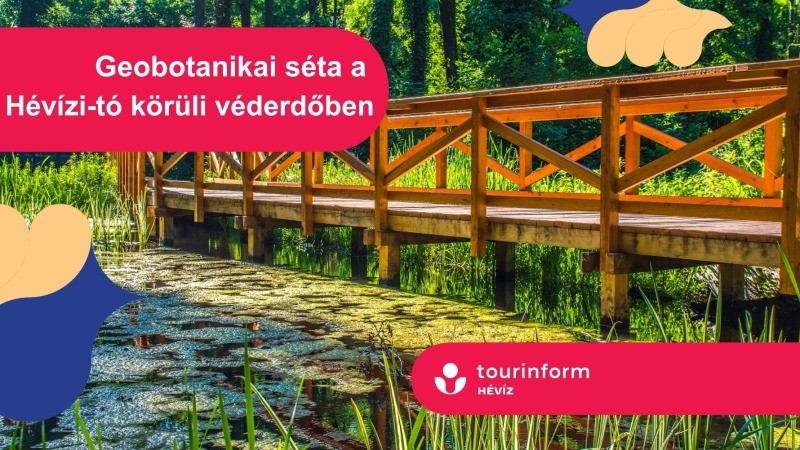 Geobotanikai séta a Hévízi-tó körüli véderdőben Hévíz