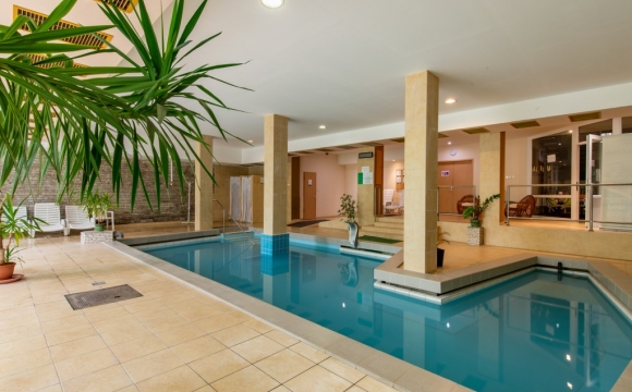 Wellness